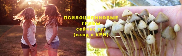 таблы Медвежьегорск