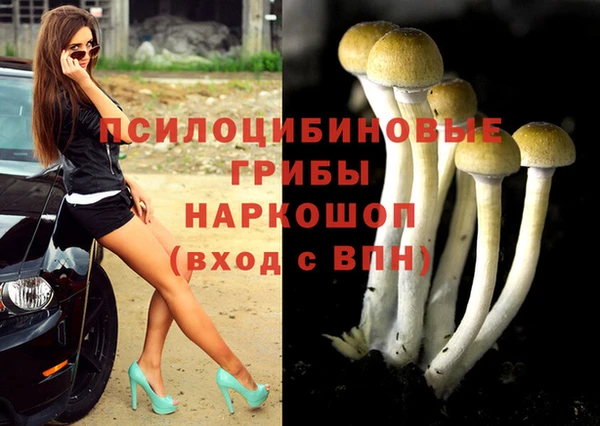 mdma Медногорск