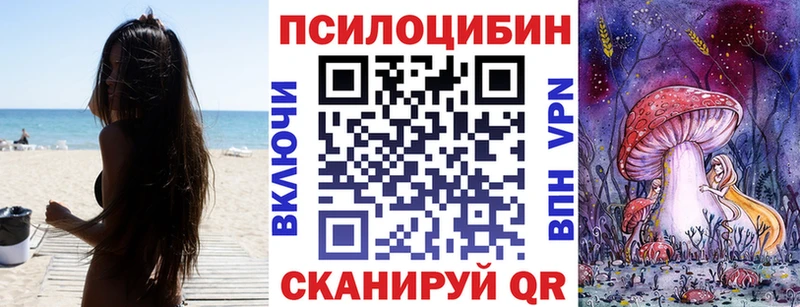 где купить наркотик  Чапаевск  hydra   Псилоцибиновые грибы прущие грибы 