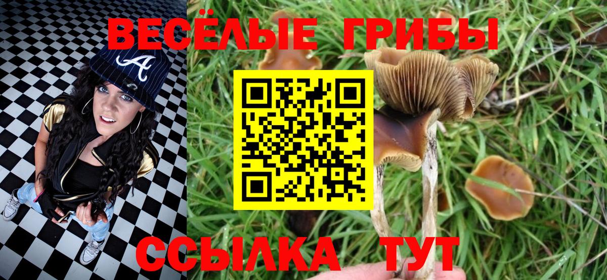 Галлюциногенные грибы ЛСД Чапаевск
