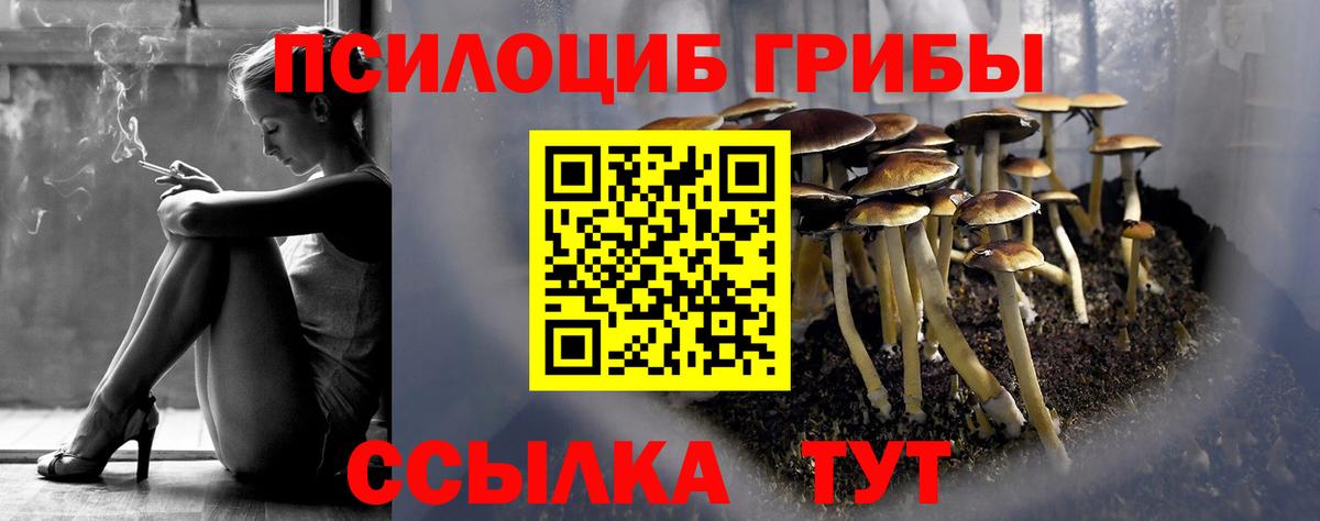 Галлюциногенные грибы мухоморы  Вход с VPN  Чапаевск 